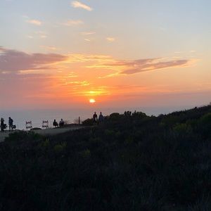 Meet your Posher, Minerva